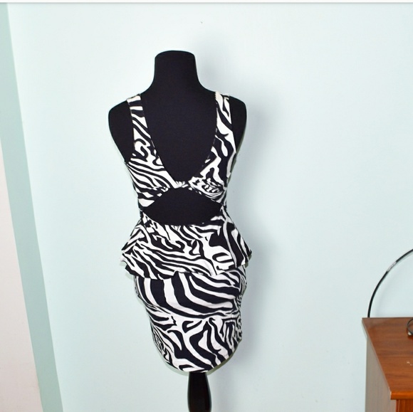 Urban Outfitters Zebra Striped Dress - Picture 2 of 2